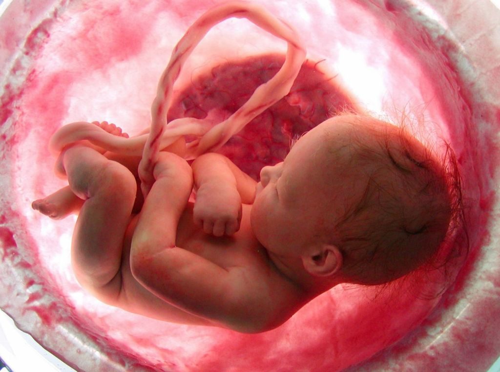 ¿Durante el embarazo el sida infecta al niño dentro del vientre?